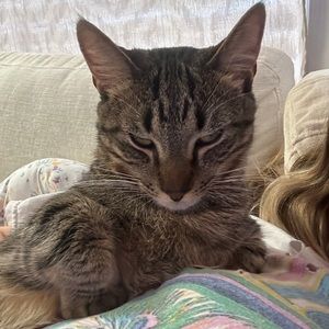 Meet your Posher, Savanah